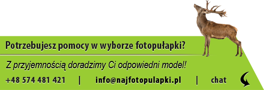 Potrzebujesz pomocy w wyborze fotopułapki?